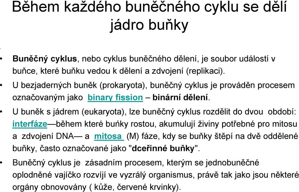 U buněk s jádrem (eukaryota), lze buněčný cyklus rozdělit do dvou období: interfáze během které buńky rostou, akumulují živiny potřebné pro mitosu a zdvojení DNA a mitosa (M) fáze, kdy