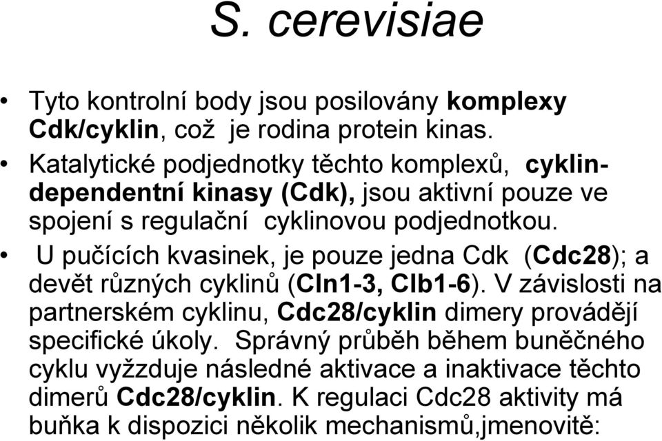 U pučících kvasinek, je pouze jedna Cdk (Cdc28); a devět různých cyklinů (Cln1-3, Clb1-6).