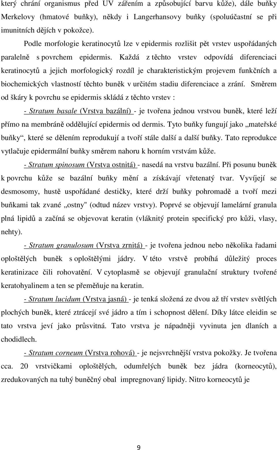 Každá z těchto vrstev odpovídá diferenciaci keratinocytů a jejich morfologický rozdíl je charakteristickým projevem funkčních a biochemických vlastností těchto buněk v určitém stadiu diferenciace a