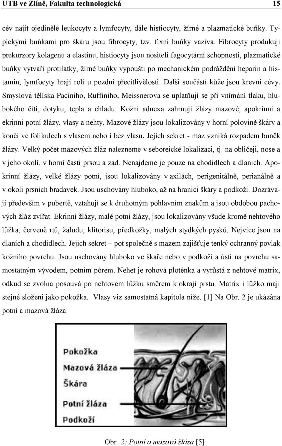 histamin, lymfocyty hrají roli u pozdní přecitlivělosti. Další součástí kůţe jsou krevní cévy.