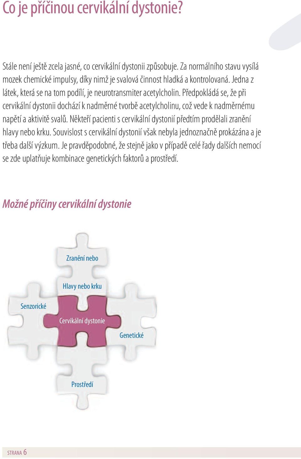 Předpokládá se, že při cervikální dystonii dochází k nadměrné tvorbě acetylcholinu, což vede k nadměrnému napětí a aktivitě svalů.