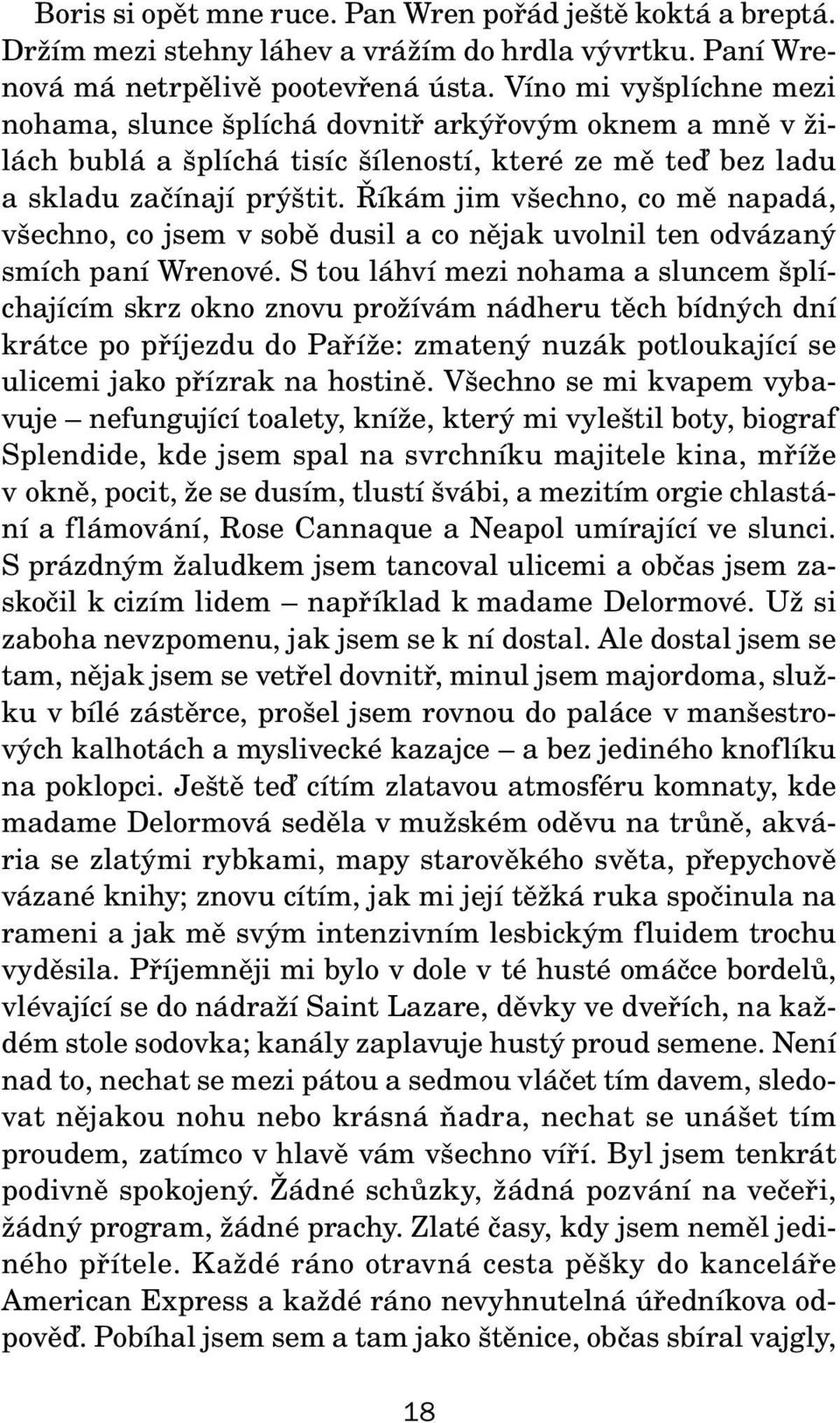 Říkám jim všechno, co mě napadá, všechno, co jsem v sobě dusil a co nějak uvolnil ten odvázaný smích paní Wrenové.