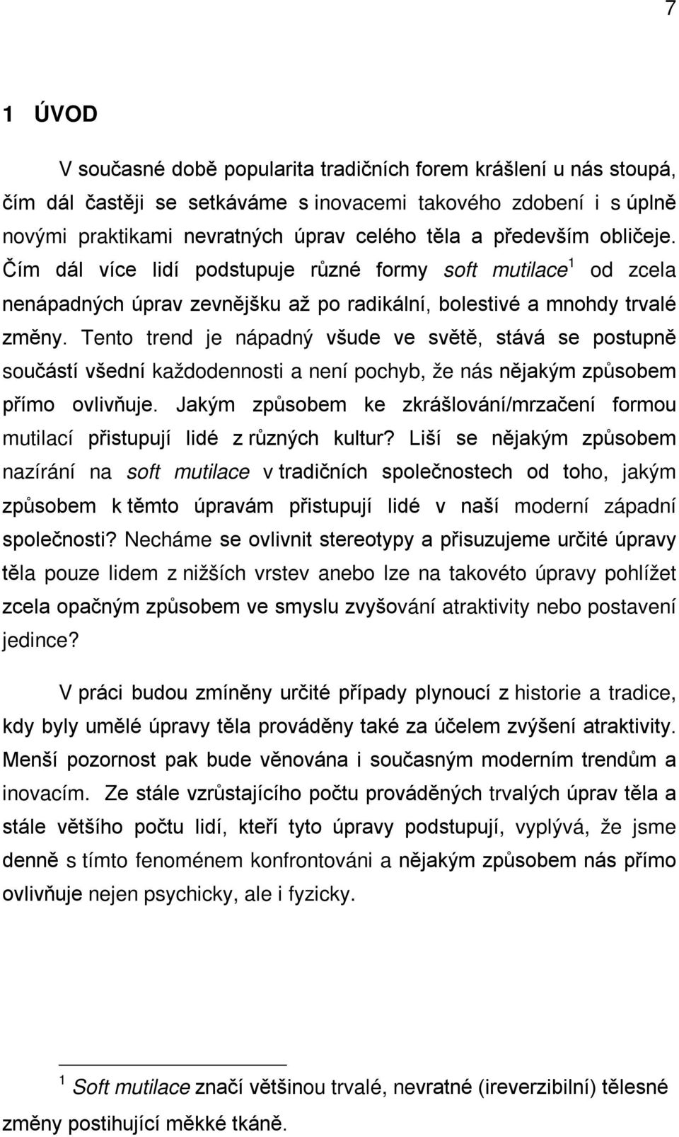 Tento trend je nápadný všude ve světě, stává se postupně součástí všední každodennosti a není pochyb, že nás nějakým způsobem přímo ovlivňuje.