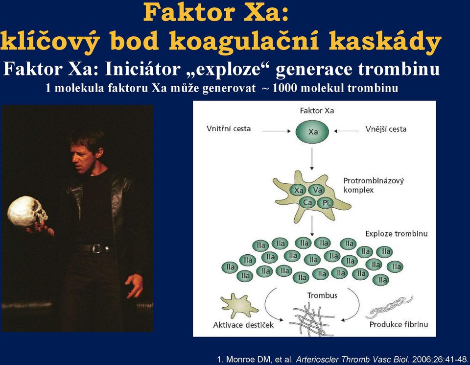 faktoru Xa může generovat ~ 1000 molekul trombinu 1.