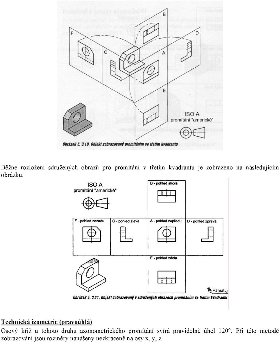 Technická izometrie (pravoúhlá) Osový křiž u tohoto druhu