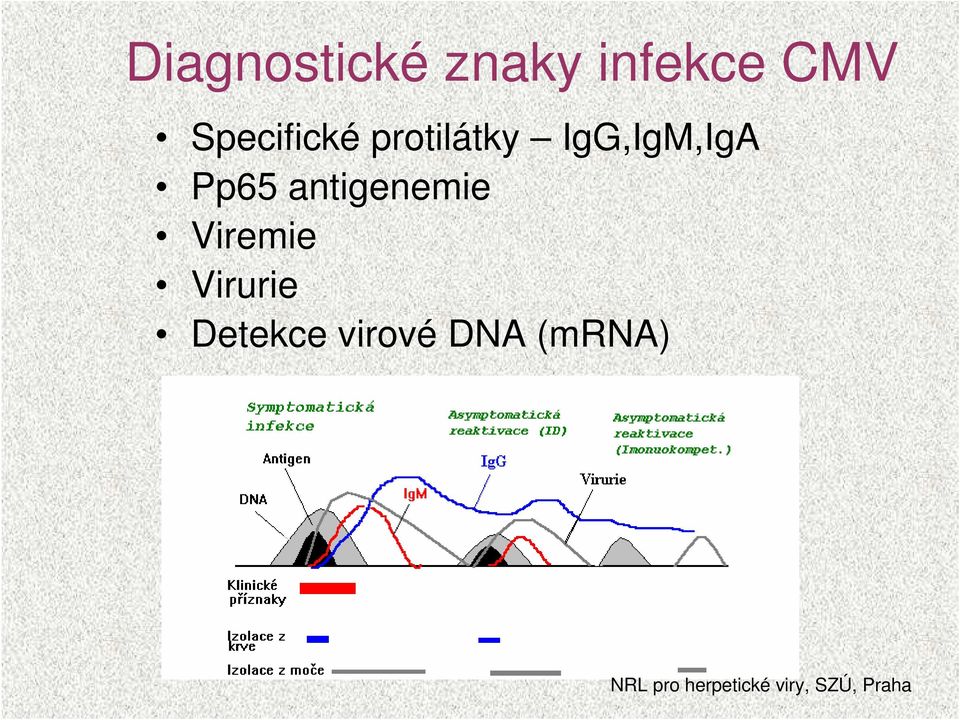 IgG,IgM,IgA Pp65 antigenemie