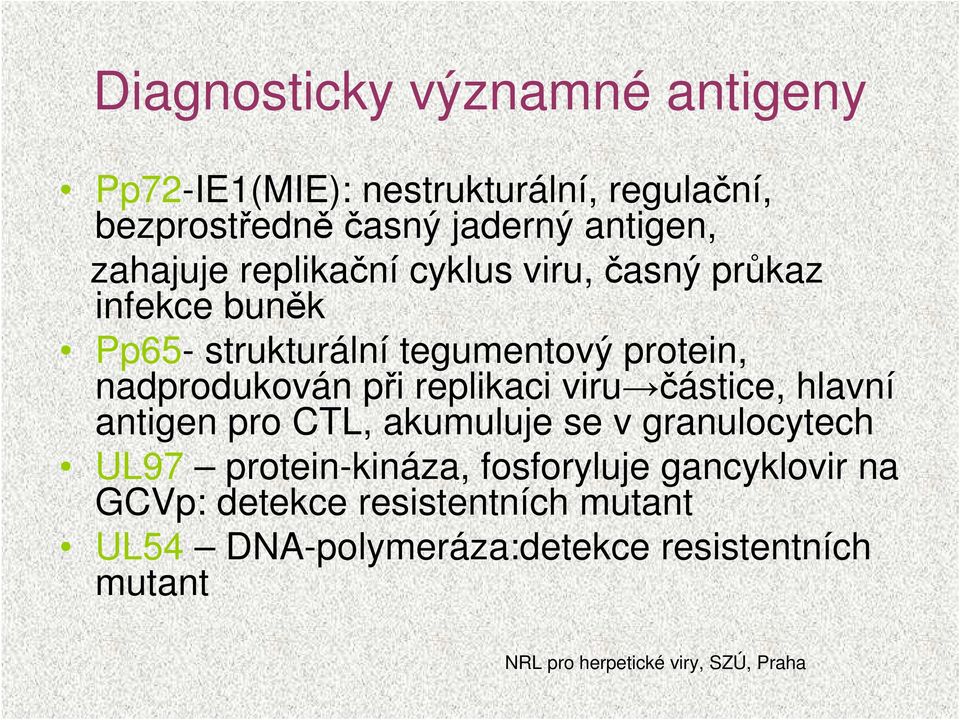 nadprodukován při replikaci viru částice, hlavní antigen pro CTL, akumuluje se v granulocytech UL97