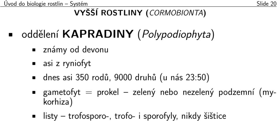 asi 350 rodů, 9000 druhů (u nás 23:50) gametofyt = prokel zelený nebo