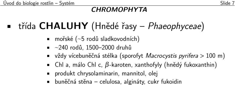 stélka (sporofyt Macrocystis pyrifera > 100 m) Chl a, málo Chl c, β-karoten, xanthofyly