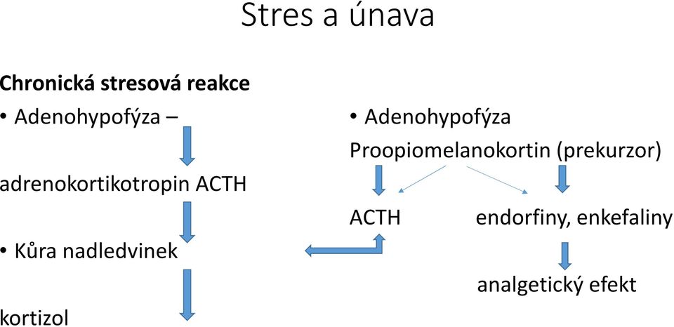 nadledvinek kortizol Adenohypofýza