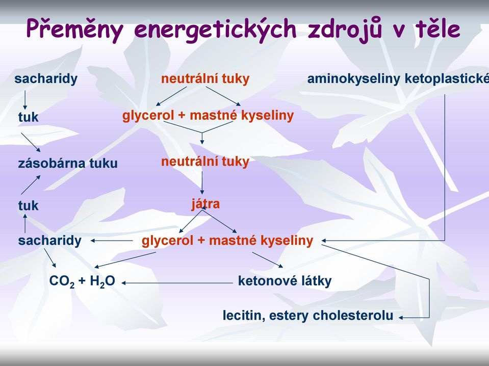 zásobárna tuku neutrální tuky tuk játra sacharidy glycerol +