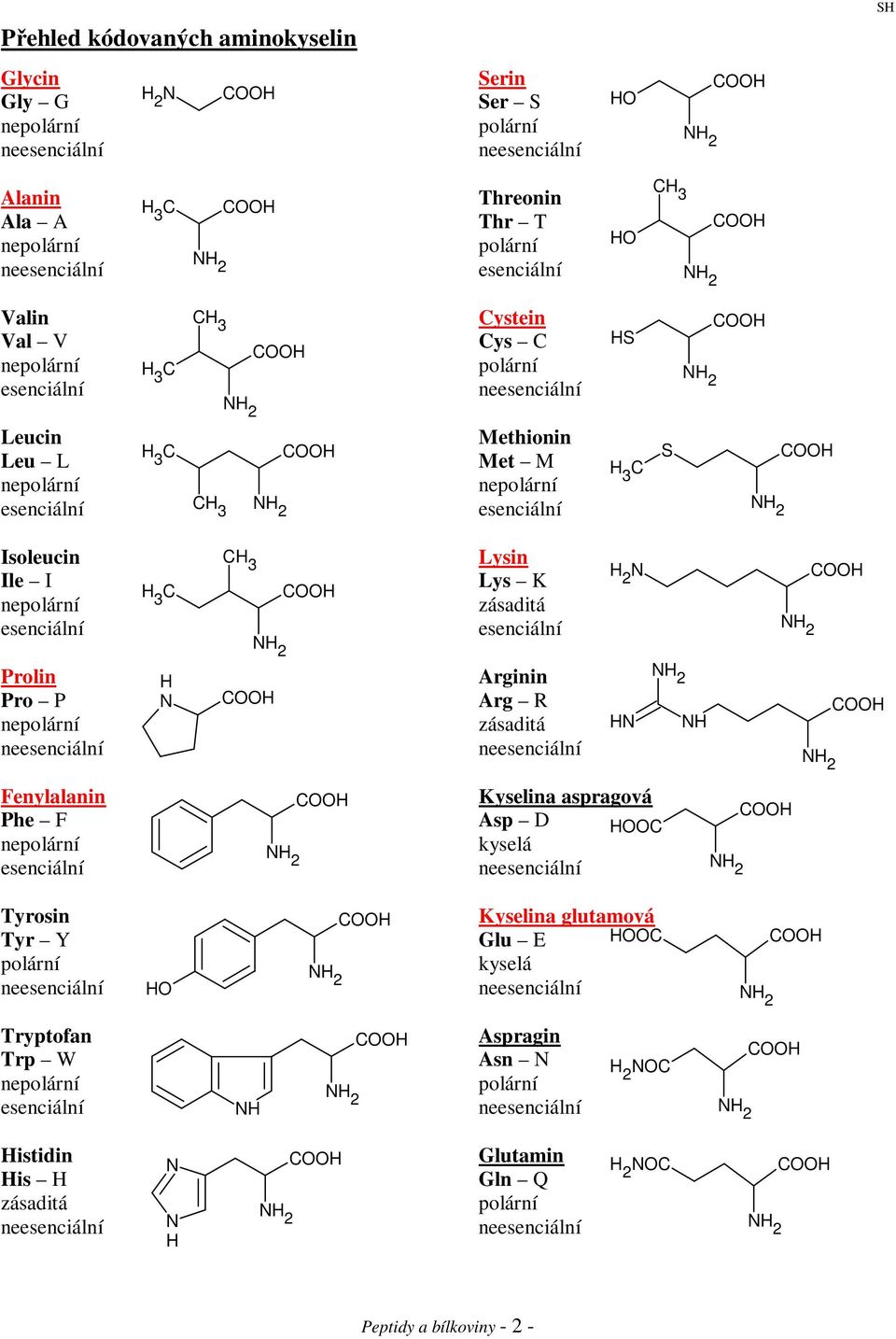 zásaditá H H Fenylalanin Phe F Kyselina aspragová Asp D HOO kyselá Tyrosin Tyr Y polární HO Kyselina glutamová Glu E HOO