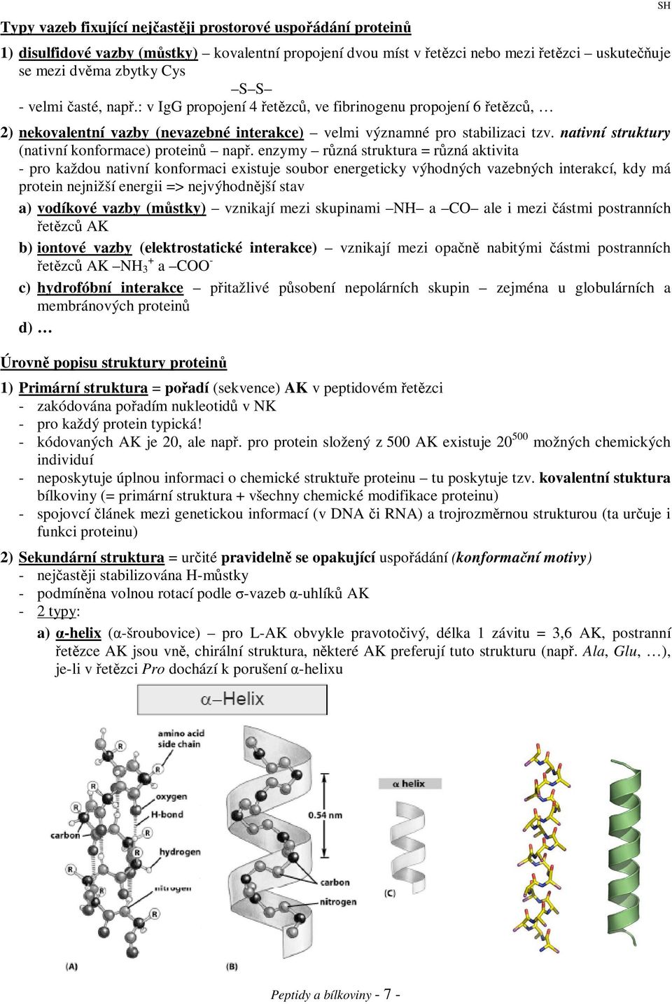 enzymy rzná struktura = rzná aktivita - pro každou nativní konformaci existuje soubor energeticky výhodných vazebných interakcí, kdy má protein nejnižší energii => nejvýhodnjší stav a) vodíkové vazby