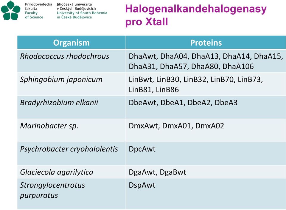 Psychrobacter cryohalolentis Glaciecola agarilytica Strongylocentrotus purpuratus Proteins DhaAwt, DhaA04,