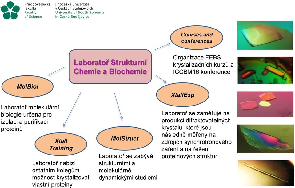 krystalizovat vlastní proteiny MolStruct Laboratoř se zabývá strukturními a molekulárnědynamickými studiemi XtallExp Laboratoř se