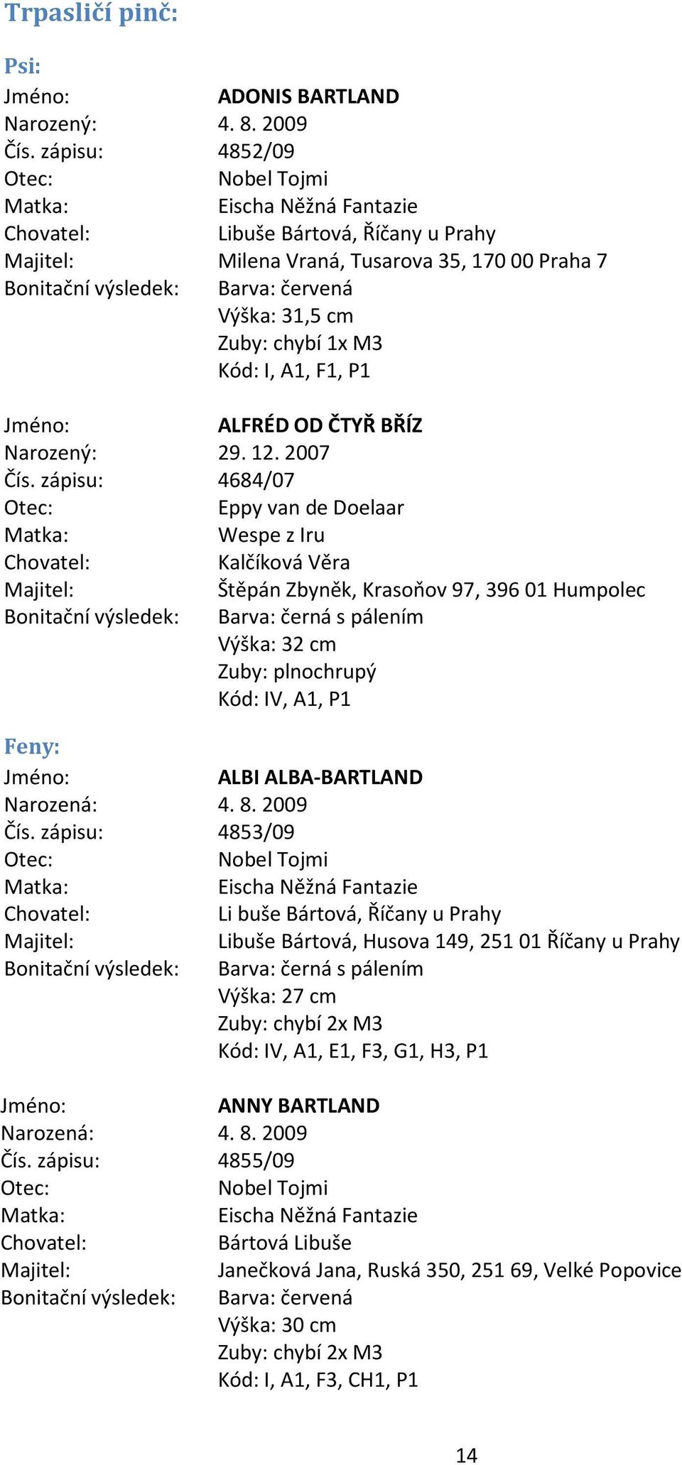 31,5 cm Zuby: chybí 1x M3 Kód: I, A1, F1, P1 Jméno: ALFRÉD OD ČTYŘ BŘÍZ Narozený: 29. 12. 2007 Čís.