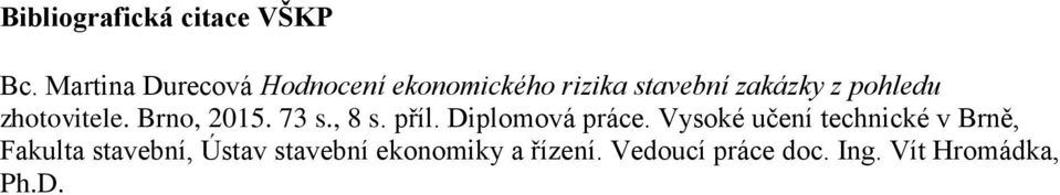 pohledu zhotovitele. Brno, 2015. 73 s., 8 s. příl. Diplomová práce.