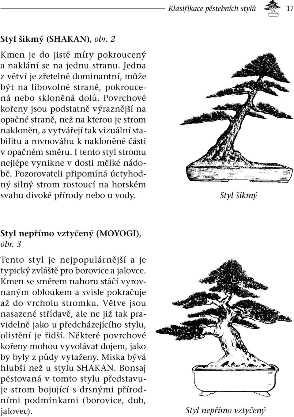 Povrchové kořeny jsou podstatně výraznější na opačné straně, než na kterou je strom nakloněn, a vytvářejí tak vizuální stabilitu a rovnováhu k nakloněné části v opačném směru.