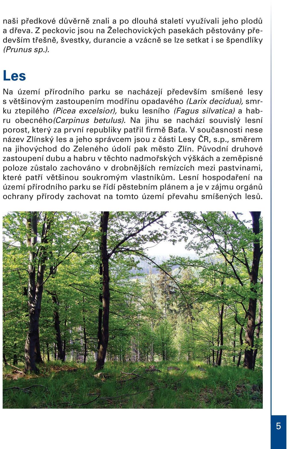 Les Na území přírodního parku se nacházejí především smíšené lesy s většinovým zastoupením modřínu opadavého (Larix decidua), smrku ztepilého (Picea excelsior), buku lesního (Fagus silvatica) a habru