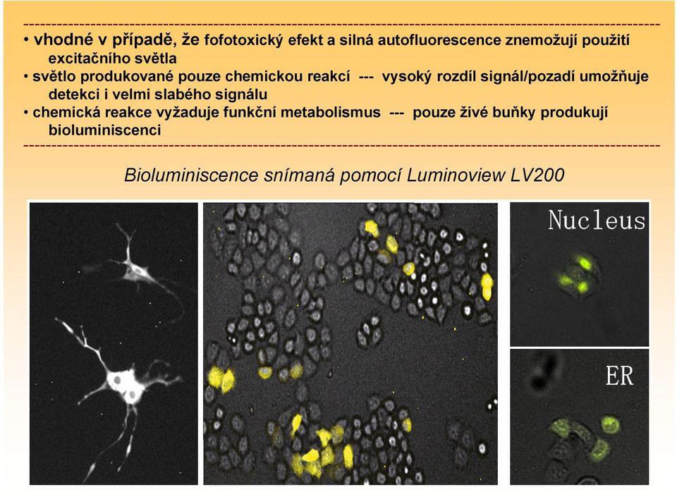 umožňuje detekci i velmi slabého signálu chemická reakce vyžaduje funkční metabolismus --- pouze živé buňky produkují bioluminiscenci