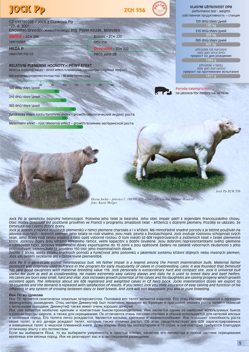 601 kg 1563 g 1917 g 96 102 110 103 Maternální efekt rûst/maternal effect growth/ ÎËflÌËÂ Ï ÚÂappleËÌÒÍÓÈ appleóòú 116 Jock Pp ZCH 556 Dcera Jocka jalovice č. 188397 921, chov.