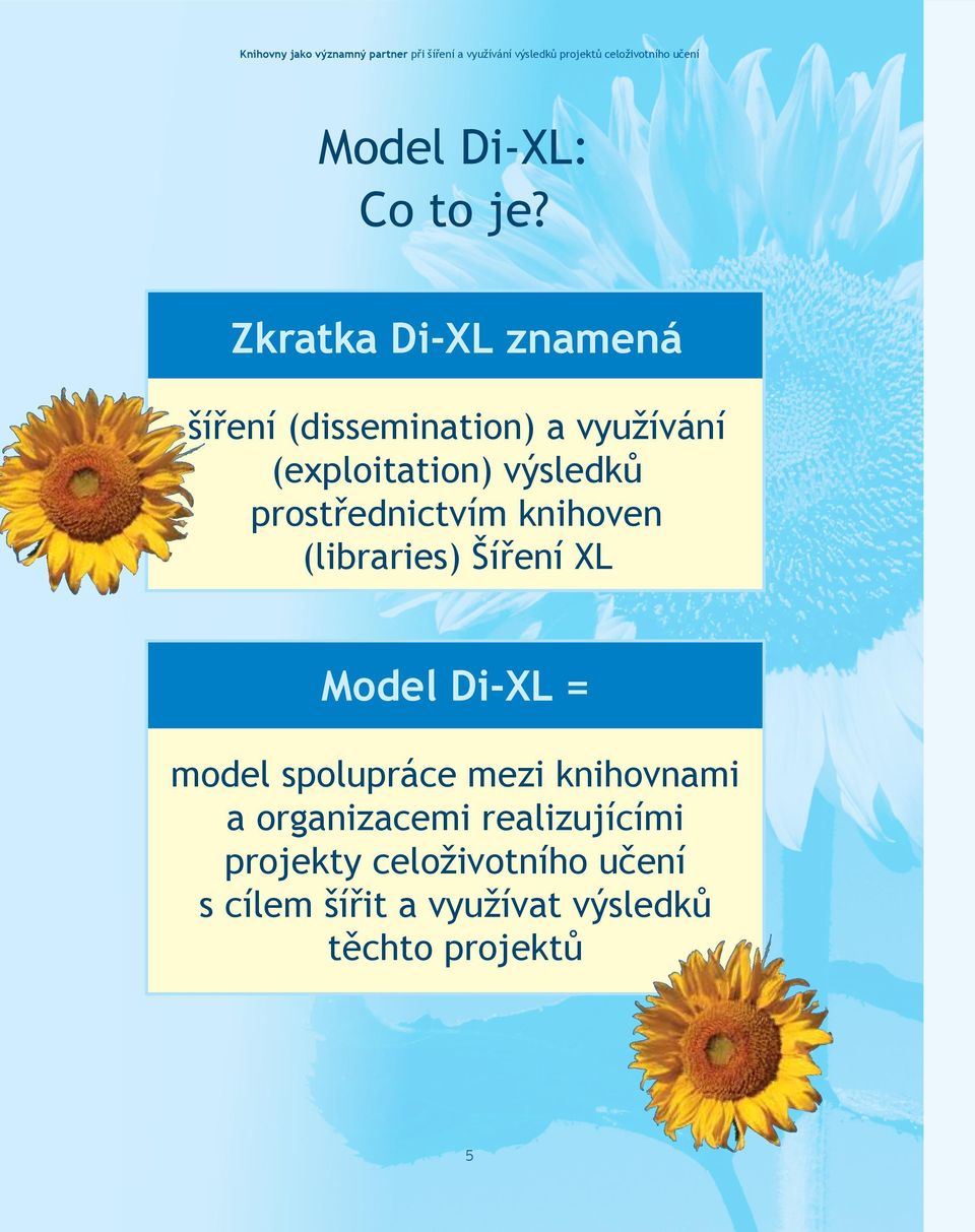 výsledků prostřednictvím knihoven (libraries) Šíření XL Model Di-XL = model