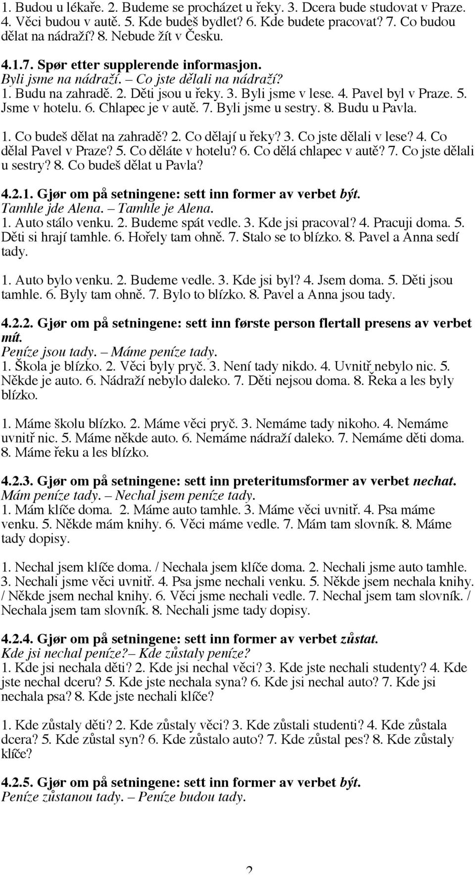 Jsme v hotelu. 6. Chlapec je v autě. 7. Byli jsme u sestry. 8. Budu u Pavla. 1. Co budeš dělat na zahradě? 2. Co dělají u řeky? 3. Co jste dělali v lese? 4. Co dělal Pavel v Praze? 5.