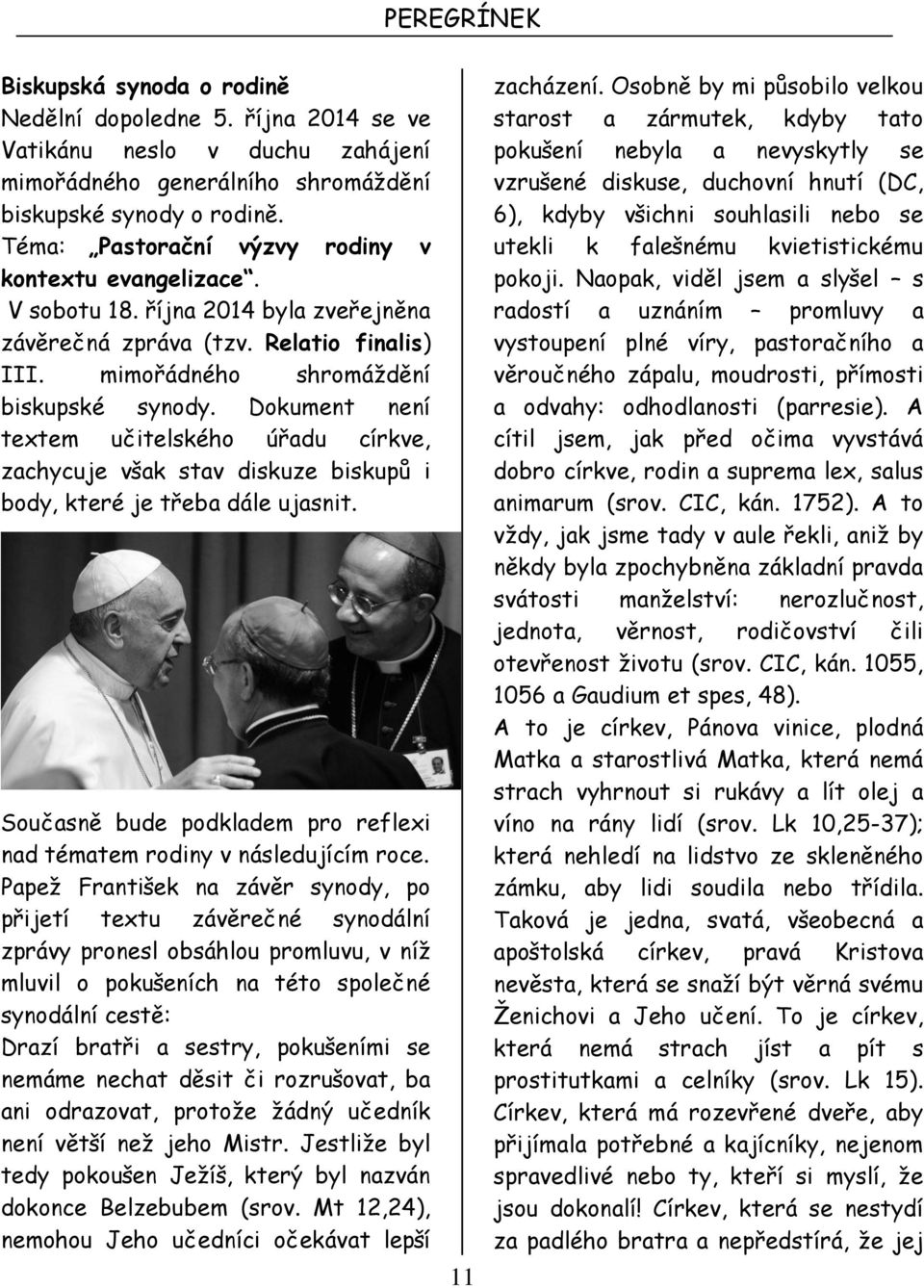 Dokument není textem učitelského úřadu církve, zachycuje však stav diskuze biskupů i body, které je třeba dále ujasnit. Současně bude podkladem pro reflexi nad tématem rodiny v následujícím roce.