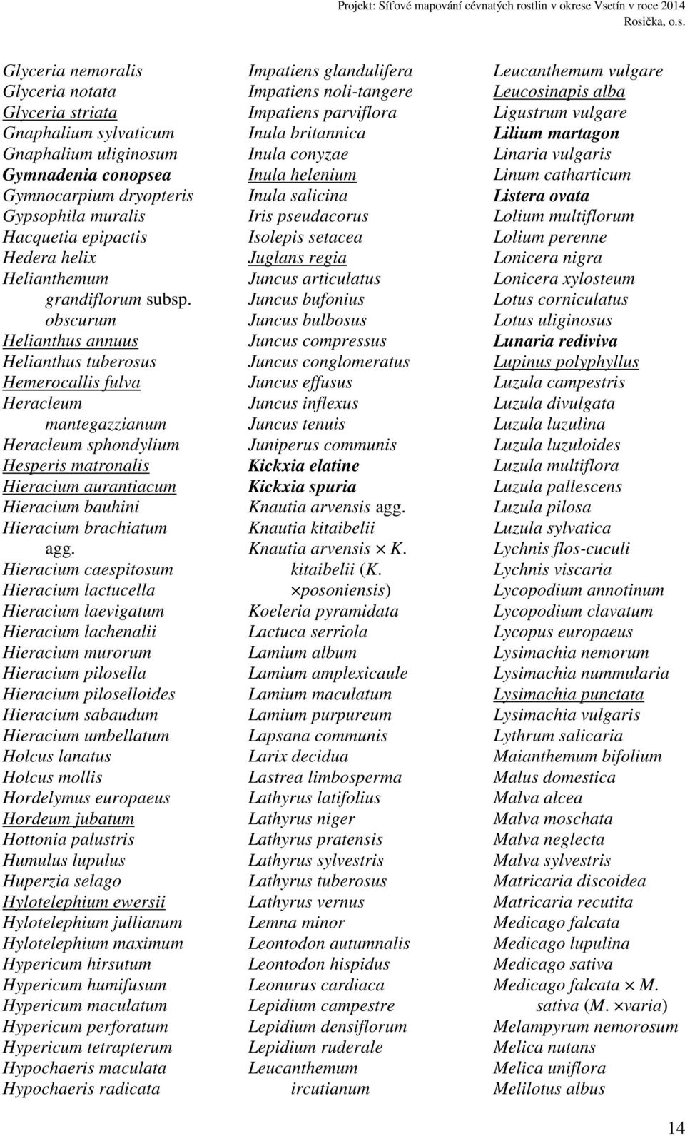 obscurum Helianthus annuus Helianthus tuberosus Hemerocallis fulva Heracleum mantegazzianum Heracleum sphondylium Hesperis matronalis Hieracium aurantiacum Hieracium bauhini Hieracium brachiatum agg.