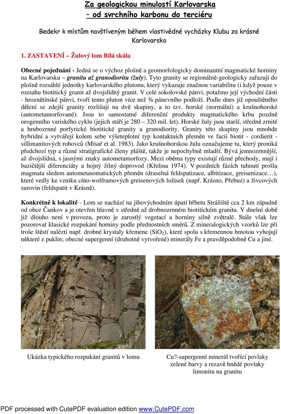 Tyto granity se regionálně-geologicky zařazují do plošně rozsáhlé jednotky karlovarského plutonu, který vykazuje značnou variabilitu (i když pouze v rozsahu biotitický granit až dvojslídný granit.