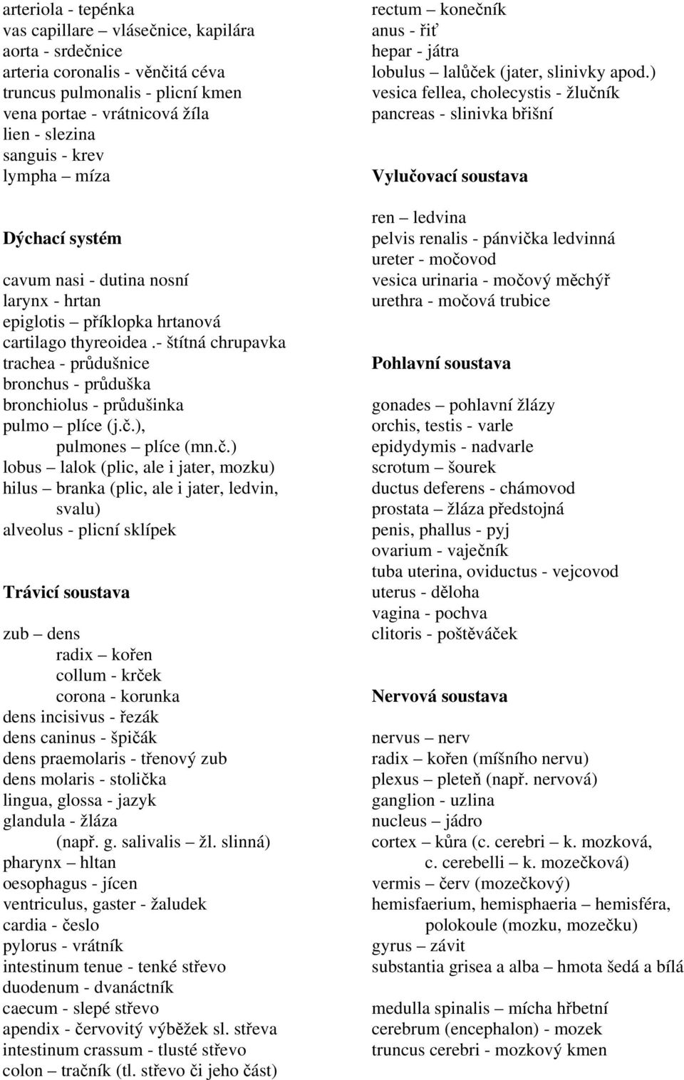 - štítná chrupavka trachea - průdušnice bronchus - průduška bronchiolus - průdušinka pulmo plíce (j.č.