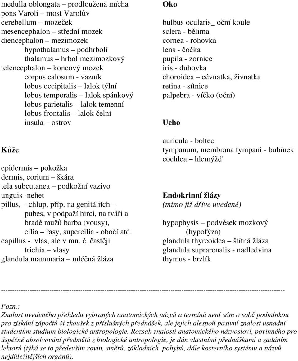 dermis, corium škára tela subcutanea podkožní vazivo unguis -nehet pillus, chlup, příp. na genitáliích pubes, v podpaží hirci, na tváři a bradě mužů barba (vousy), cilia řasy, supercilia - obočí atd.