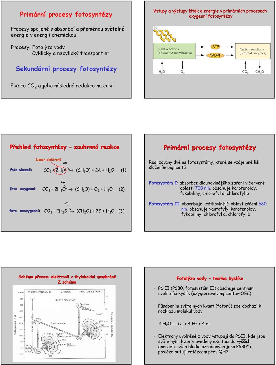 obecně: Donor elektronů hυ 2 2 2 A ( 2 ) 2A 2 (1) Realizovány dvěma fotosystémy, které se vzájemně liší složením pigmentů foto.