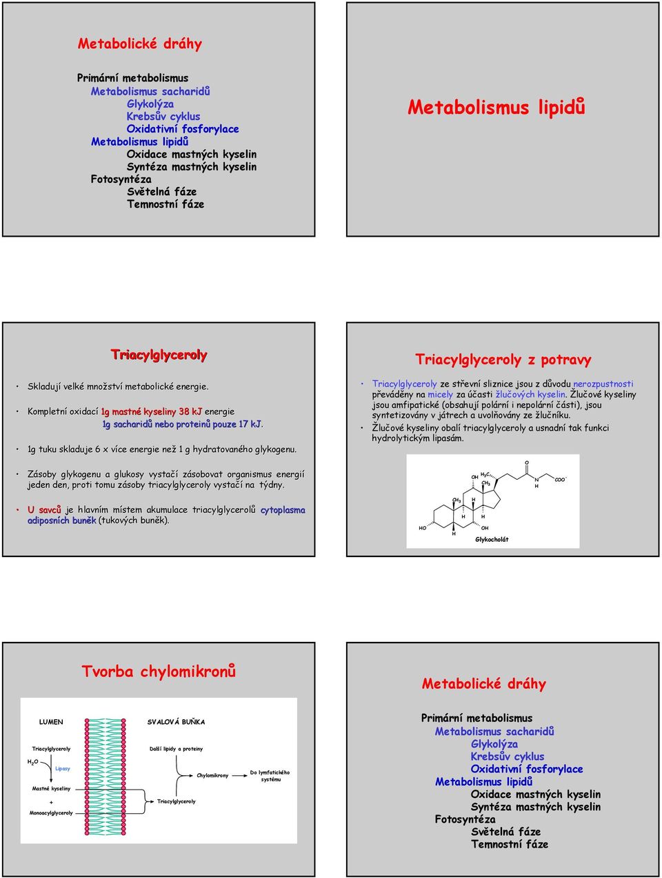 Triacylglyceroly z potravy Triacylglyceroly ze střevní sliznice jsou z důvodu nerozpustnosti převáděny na micely za účasti žlučových kyselin.