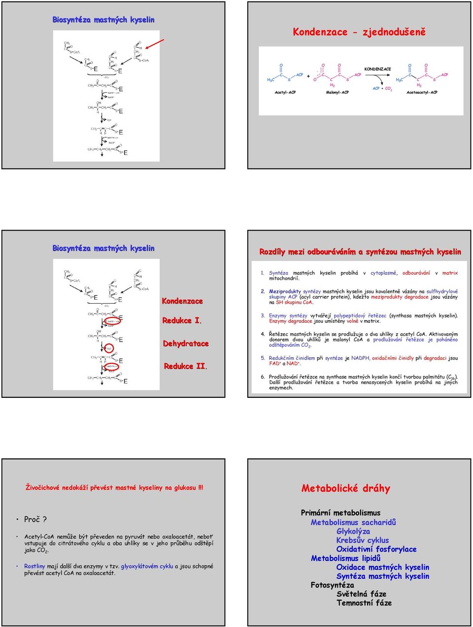 Meziprodukty syntézy mastných kyselin jsou kovalentně vázány na sulfhydrylové skupiny AP (acyl carrier protein), kdežto meziprodukty degradace jsou vázány na S skupinu oa. 3.