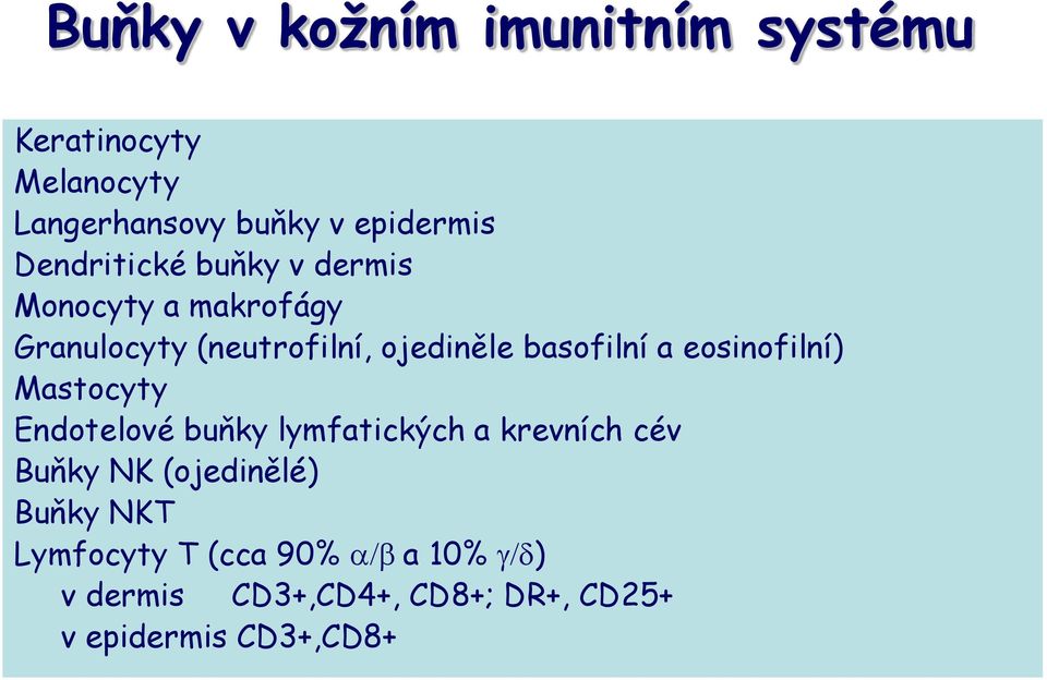 a eosinofilní) Mastocyty Endotelové buňky lymfatických a krevních cév Buňky NK (ojedinělé)