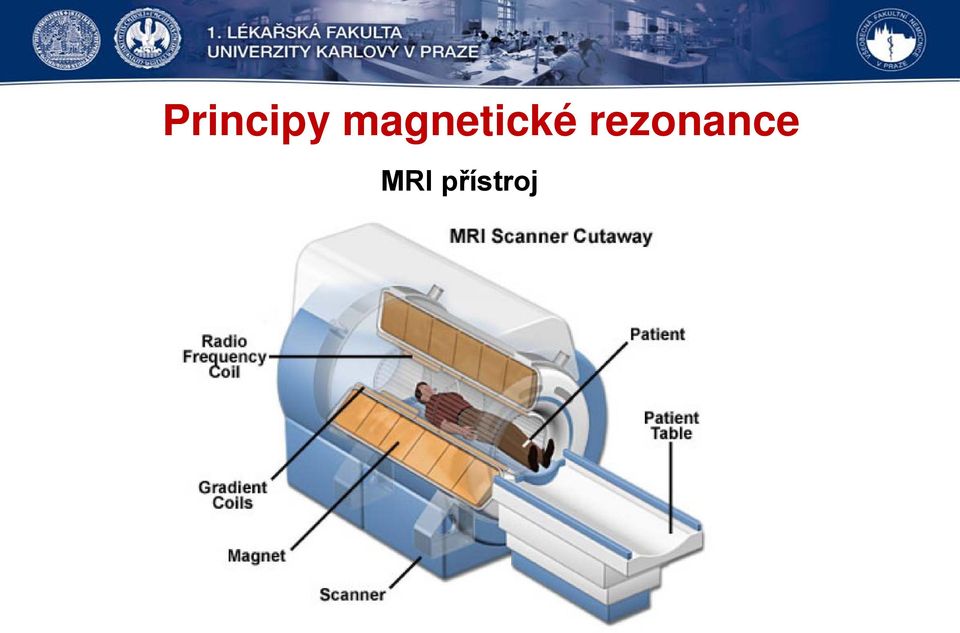 rezonance