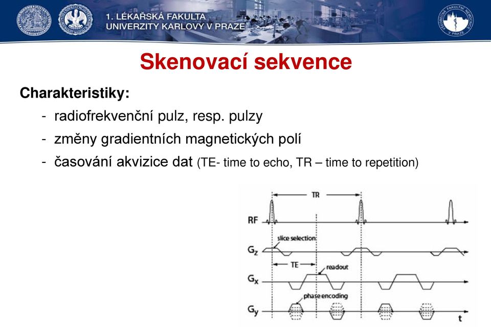 pulzy - změny gradientních magnetických