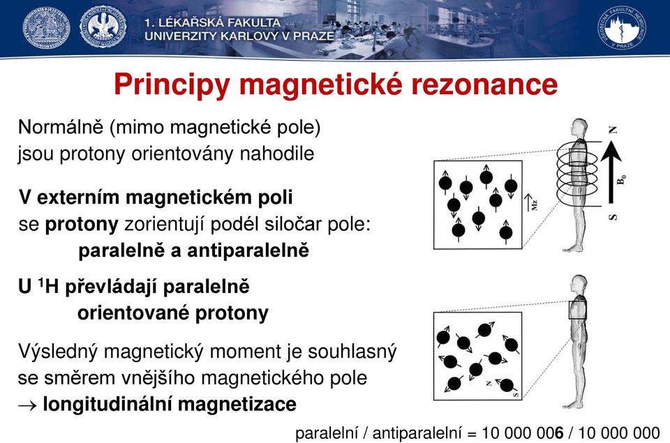 H převládají paralelně orientované protony Výsledný magnetický moment je souhlasný se směrem