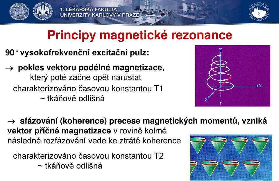 odlišná sfázování (koherence) precese magnetických momentů, vzniká vektor příčné magnetizace v