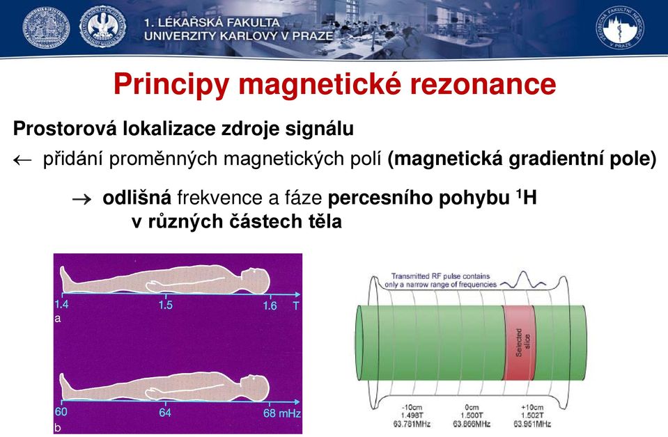 magnetických polí (magnetická gradientní pole)