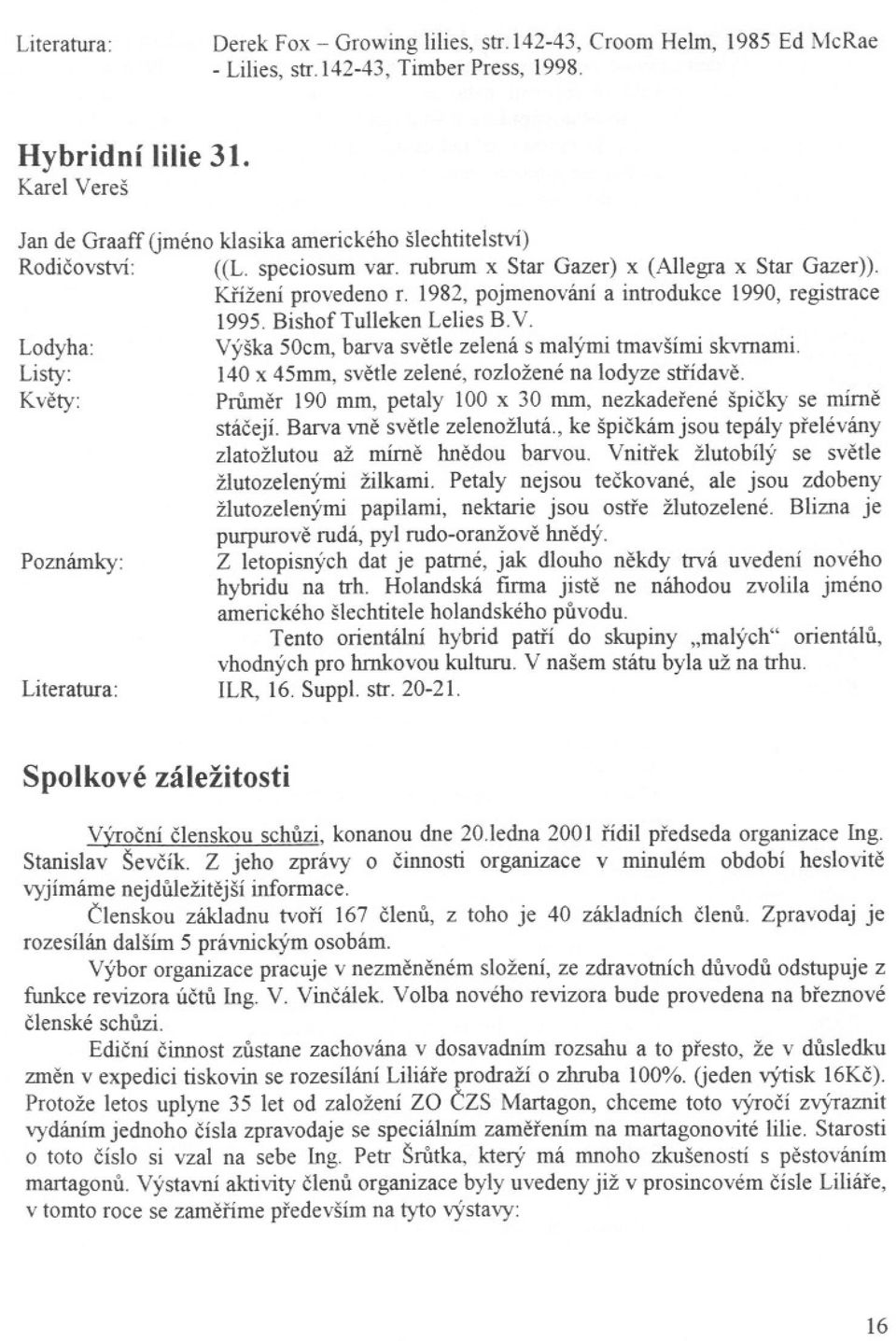 Krížení provedeno r. 1982, pojmenování a introdukce 1990, registrace 1995. BishofTulleken Lelies B.V. Výška 50cm, barva svetle zelená s malými tmavšími skvrnami.