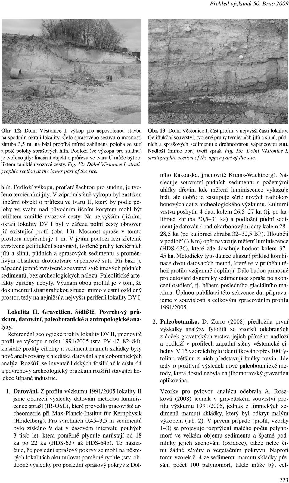 Podloží (ve výkopu pro studnu) jetvořenojíly;lineárníobjektoprůřezuvetvaruumůžebýtreliktem zaniklé úvozové cesty. Fig. 12: Dolní Věstonice I, stratigraphic sectionat the lower part of the site. hlín.