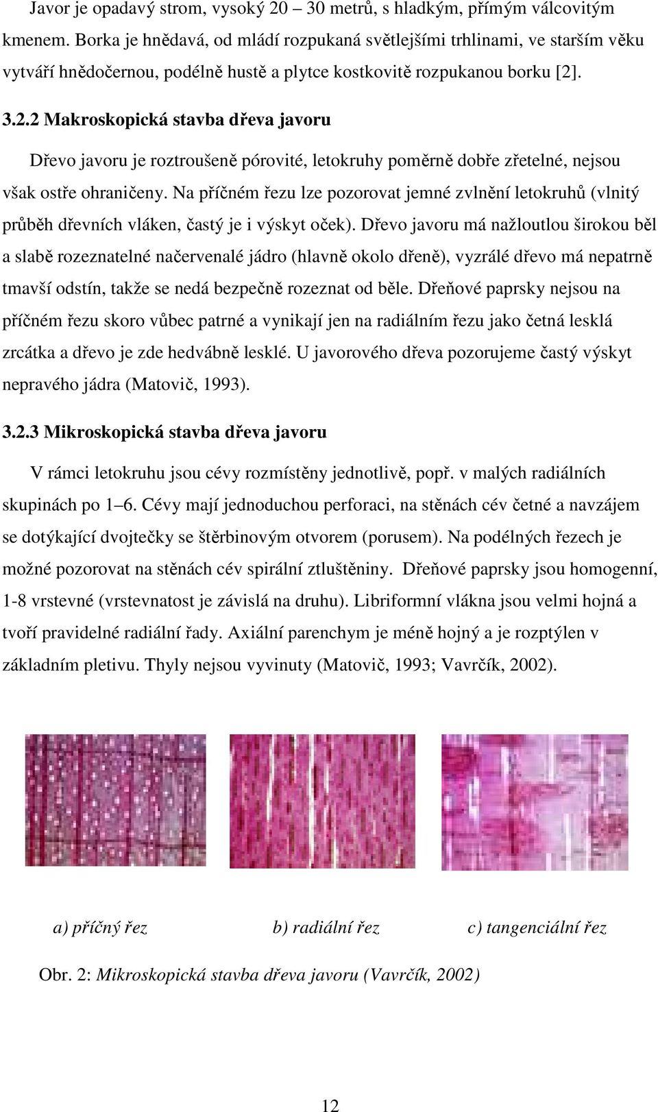 . 3.2.2 Makroskopická stavba dřeva javoru Dřevo javoru je roztroušeně pórovité, letokruhy poměrně dobře zřetelné, nejsou však ostře ohraničeny.