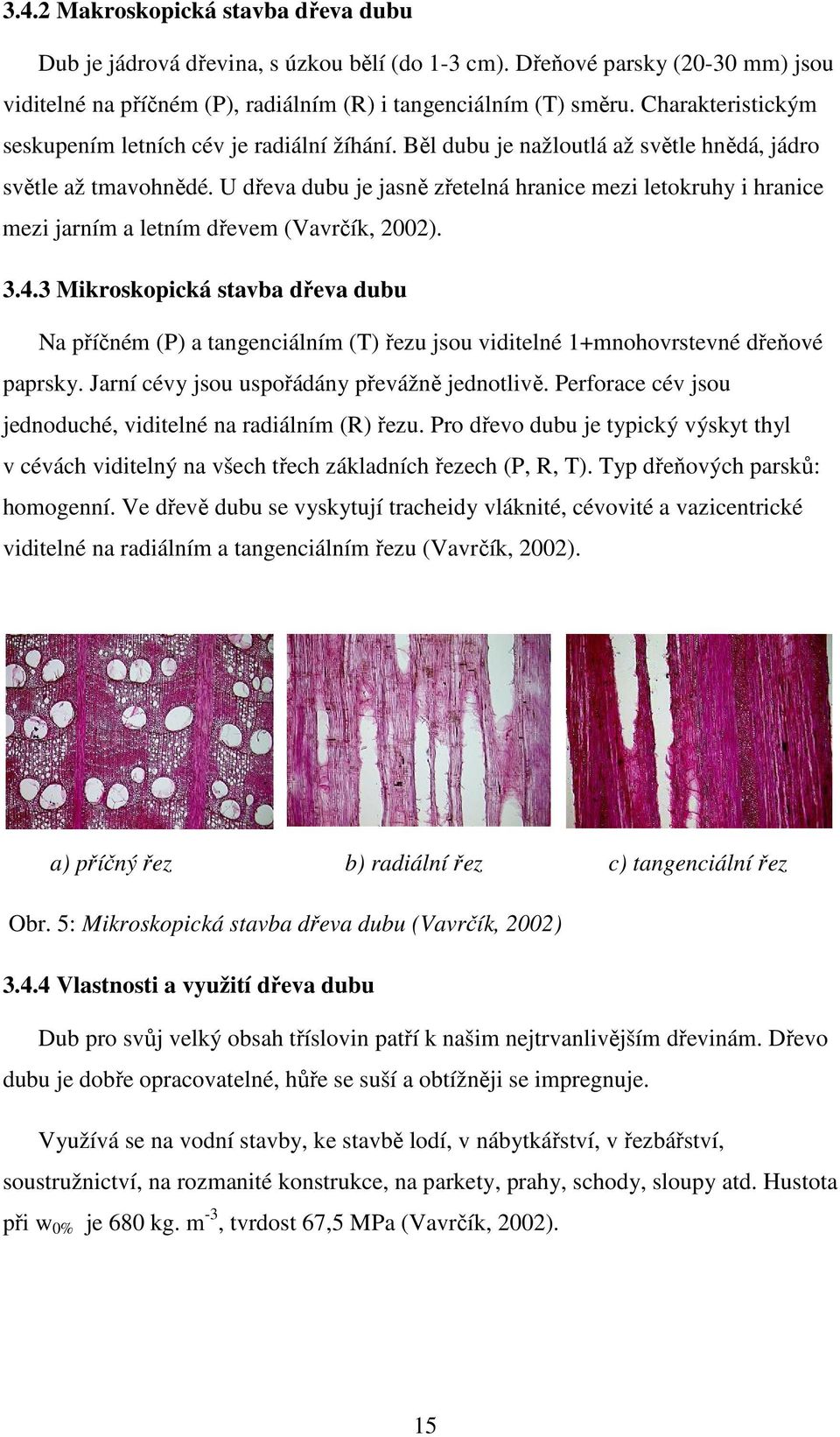 U dřeva dubu je jasně zřetelná hranice mezi letokruhy i hranice mezi jarním a letním dřevem (Vavrčík, 2002). 3.4.