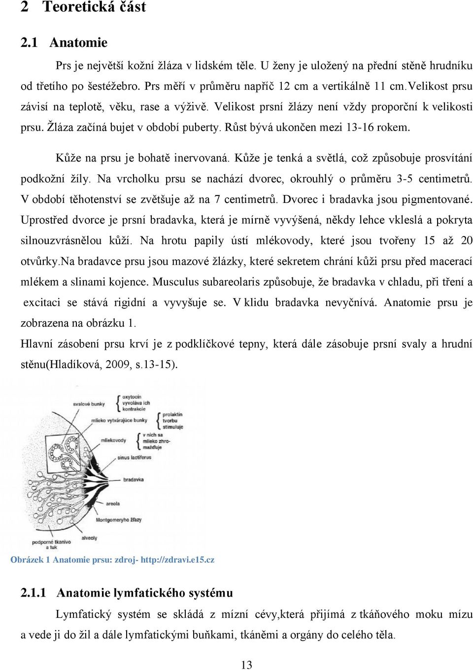 Kůže na prsu je bohatě inervovaná. Kůže je tenká a světlá, což způsobuje prosvítání podkožní žíly. Na vrcholku prsu se nachází dvorec, okrouhlý o průměru 3-5 centimetrů.