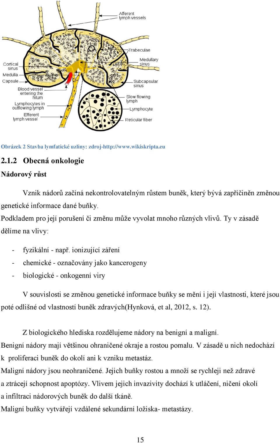 Podkladem pro její porušení či změnu může vyvolat mnoho různých vlivů. Ty v zásadě dělíme na vlivy: - fyzikální - např.