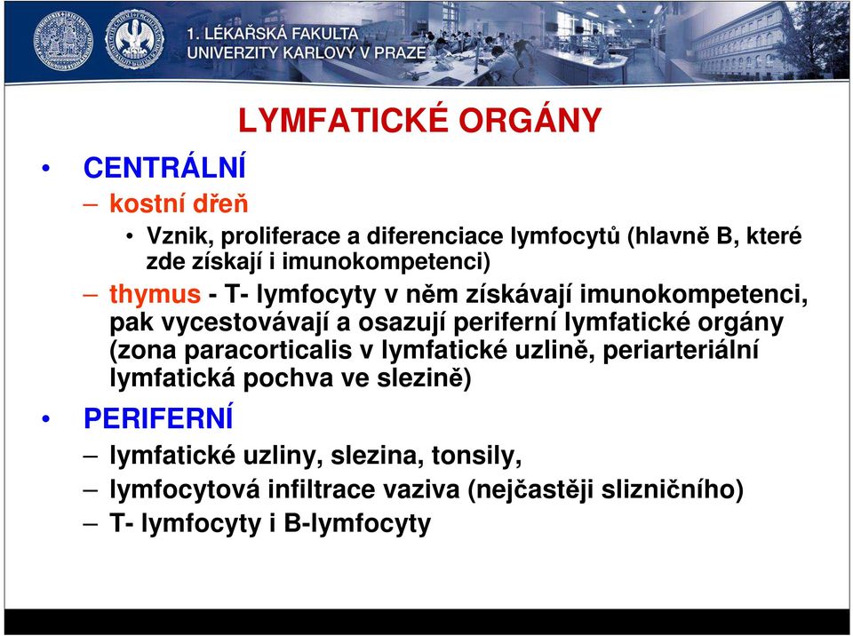 lymfatické orgány (zona paracorticalis v lymfatické uzlině, periarteriální lymfatická pochva ve slezině) PERIFERNÍ