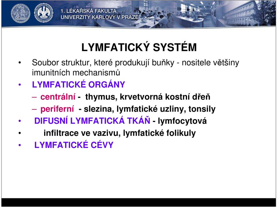 kostní dřeň periferní - slezina, lymfatické uzliny, tonsily DIFUSNÍ