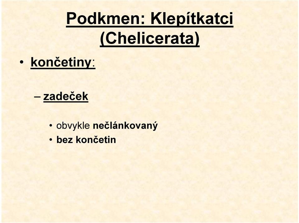 (Chelicerata) zadeček